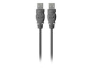 Belkin F3U131-10 10 ft. USB A Male to Male Transfer Cable