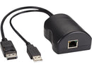 Black Box DCX3000-DPT Server Access Module - DisplayPort + USB