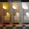 Dimunt Floor Lamp LED Floor Lamps for Living Room Bright Lighting - ATERRIMUS Like New
