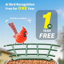 SEHMUA BIRD FEEDER CAMERA WATCHING CAMERA, 1 YEAR TRIAL AI IDENTIFY, 4 ADD-ONS - Like New