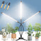 BAEDAOD Grow Lights for Indoor Plants, 6000K 135 LEDs Light for Seed Starting Like New