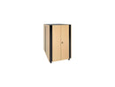 Tripp Lite 24U SmartRack Sound Proof Server Rack - Quiet Acoustic Server Rack