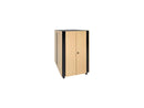Tripp Lite 24U SmartRack Sound Proof Server Rack - Quiet Acoustic Server Rack