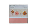 Cricut + Martha Stewart Mixed Materials Petals & Blush | 21 Sheets Cardstock,