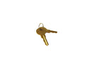 APG PK-8K-A3 - 2 Keys with the A3 Code for Cash Drawers