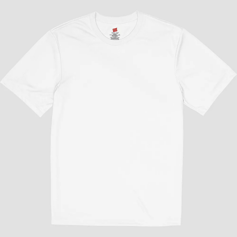 4820 Hanes Men's Cool Dri Performance Short Sleeve T-Shirt New