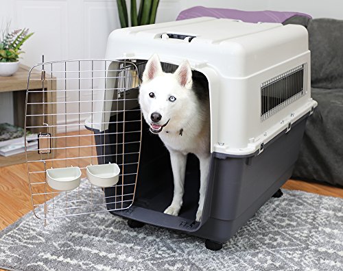 SportPet Designs Plastic Kennels Rolling Plastic Airline Approved