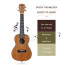 Mulucky Ukulele Concert 23" 4 Aquila Strings Premium Wooden Kit MUK-CH1 -NEW - Brand New