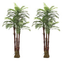 AMERIQUE Double Gorgeous 6 Feet Tropical Palm Artificial Tree - AMS0354 - Green - Like New