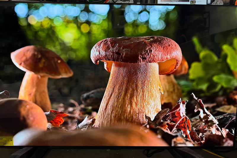 LG 65 INCH CLASS OLED B4 SERIES TV WITH WEBOS 24 - BLACK - Like New