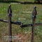 SUNNYDAZE ROMAN-STYLE 9' OUTDOOR GARDEN METAL FENCE PANEL SET- 5 PANELS - BLACK - Like New