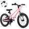 RoyalBaby Astro Magnesium EZ-Shark Ultra-Light Kids Bike - Scratch & Dent