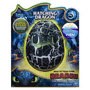 Dreamworks Dragons New and Exclusive at Walmart Hatching Toothless Interactive - Brand New