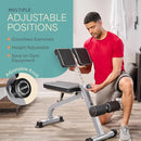 LIFEPRO SCULPTTRAINER ROMAN CHAIR – HYPEREXTENSION - LP-STMRC - SILVER - Like New