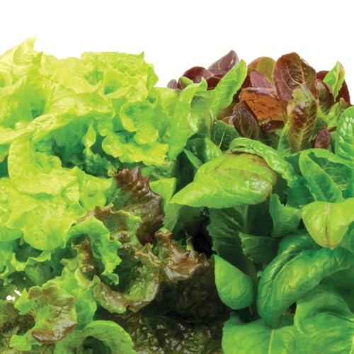 AEROGARDEN HEIRLOOM SALAD GREENS MIX SEED POD KIT 6-POD 806604-0208 - White Like New