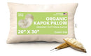 Bean Products Kapok 20" x 30" Queen Pillow - Organic Cotton Fabric - Brand New