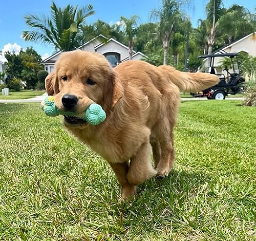 Nylabone Flavor Frenzy Barbell Puppy Chew Toy NPRD803P - Green/Yellow - Brand New