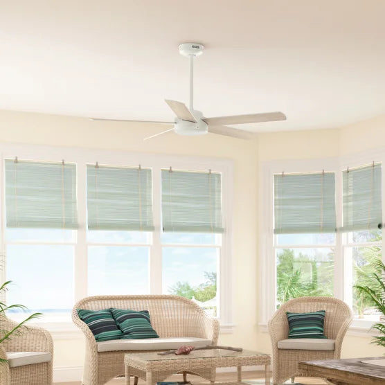 HUNTER ANVIK 52” INDOOR/OUTDOOR CEILING FAN WITH REMOTE - FRENCH WHITE - Like New