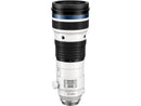 OM System M.Zuiko Digital 150 mm to 400 mm - f/22 - f/4.5 - Telephoto, Ultra