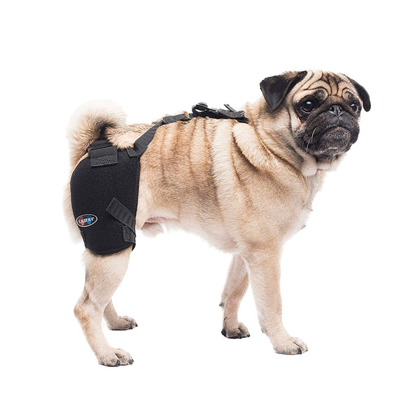 CALDERA INTERNATIONAL PET THERAPY HIP WRAP WITH GEL, SMALL - BLACK Like New