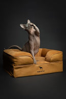 NOAH & PAW SMALL DOG BED 20X15X8 INCH ORTHOPEDIC MEMORY GEL - CAMEL - Like New