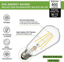 VOLXON DIMMABLE E26 EDISON BULBS 60 WATT LED EQUIVALENT (4 PCS) 4 COUNT - SILVER - Like New