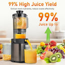 FAB&DELUXE Cold Press Juicer, 34oz Machines with 4.3" Chute, HGM-902 - Black - Like New