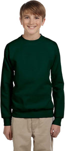 P364 Hanes Boys ComfortBlend EcoSmart Fleece Crew New