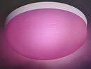 PHILIPS HUE FLOURISH CEILING WHITE AND COLOR LIGHT PHILIP 4090531P9 - WHITE - Like New