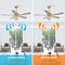 PARROT UNCLE 52" GANGA MODERN DOWNROD MOUNT REVERSIBLE CRYSTAL CEILING FAN, GOLD - Like New