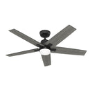 HUNTER FAN COMPANY HUNTER RAPIDAN LED 52"" CEILING FAN 5 BLADE - MATTE BLACK - Like New