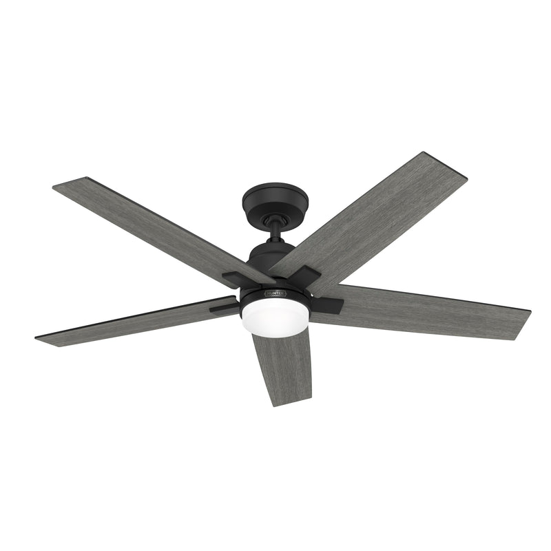 HUNTER FAN COMPANY HUNTER RAPIDAN LED 52"" CEILING FAN 5 BLADE - MATTE BLACK - Like New