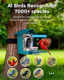 Devo Solar Smart Bird Feeder with Camera WiFi Outdoor AI ID 2.5K HD - Blue - Like New