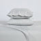 BIBB HOME 2000 COUNT 6-PIECE RAYON FROM BAMBOO SHEET SET KING - SILVER - Brand New