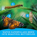 NATIONAL GEOGRAPHIC BUTTERFLY GROWING KIT BUTTERFLY HABITAT KIT - Brand New