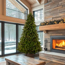 NATIONAL TREE COMPANY 9 FT PRE-LIT DOWNSWEPT DOUGLAS FIR ARTIFICIAL TREE - GREEN - Like New