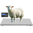 Spritool 1000lb(500 KG *0.1kg) Stainless Steel Platform Large Platform 103 C - Brand New