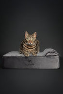 NOAH & PAW Small Dog Bed, 20x15x6.5 Inch VELVET COLLECTION - GRAY - Like New