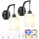 ODNORA WIRELESS RECHARGEABLE WALL SCONCE SET OF TWO 15 COLORS - BLACK/WHITE - Like New