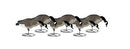 DAKOTA DECOY Signature Series Fully Flocked Canada Goose Feeder Decoys 6-Pack - Brand New