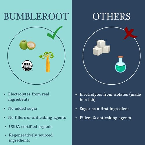 BUMBLEROOT ORGANIC ELECTROLYTE POWDER PLANT BASED HYDRATION TURMERIC GINGER 8 OZ - Brand New
