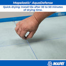 MAPEI MAPELASTIC WATER POOL CRACK ISOLATION AND ACRYLIC (3.5GALLON) - SILVER - Brand New