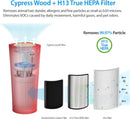 IMUNSEN M-003R Portable HEPA Air Purifier with H13 True HEPA Filter - RED - Like New