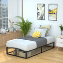 Amazon Basics Metal Platform Bed Frame 10 inches High Twin 10PBECBF-TT - Black - Like New