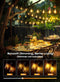 BRIGHTOWN 50FT OUTDOOR STRING LIGHTS 25 LED EDISON BULBS PATIO LIGHTS - BLACK - Like New