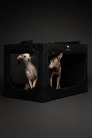 NOAH & PAW COLLAPSIBLE DOG CRATE 30 INCHES, LARGE DOG CRATE, 30*21*21 - BLACK - Like New