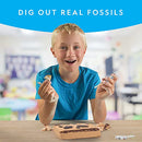 NATIONAL GEOGRAPHIC SUPER FOSSIL DIG KIT - MULTI - Brand New