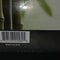 BAMBOO MEMORY FOAM PILLOWS BAMBOO COVER KING SIZE - 19X36 - GREEN/WHITE - Brand New