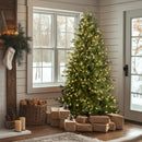 NATIONAL TREE COMPANY 7.5 FT. PRE-LIT NORTHERN SPRUCE MEMORY-SHAPE TREE - GREEN - Like New