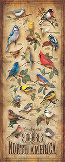 Backyard Birds 12" x 30" Wood Sign by Catherine McClung - Like New